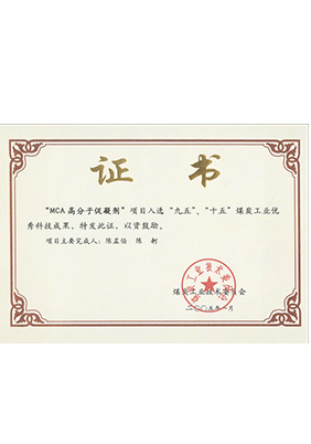 2005年1月MCA高分子促凝劑獲“九五、十五”科技成果獎(jiǎng)